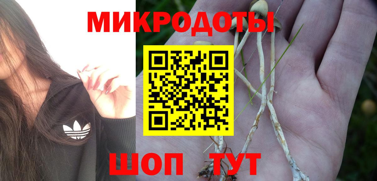 Галлюциногенные грибы Cubensis Кулебаки