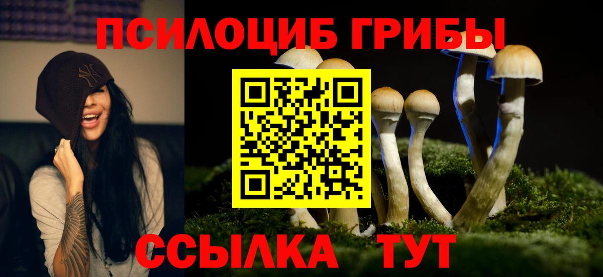 Галлюциногенные грибы Psilocybine cubensis  Псилоцибиновые грибы Cubensis  где продают   Кулебаки  Вход с VPN 